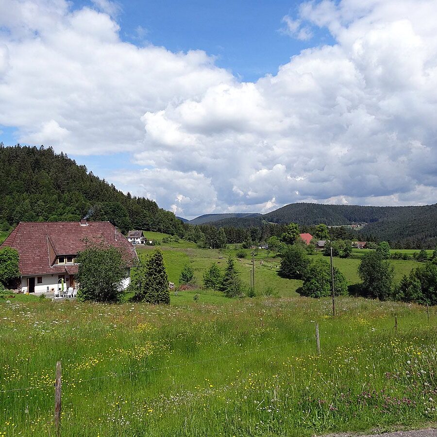 06 rombach
