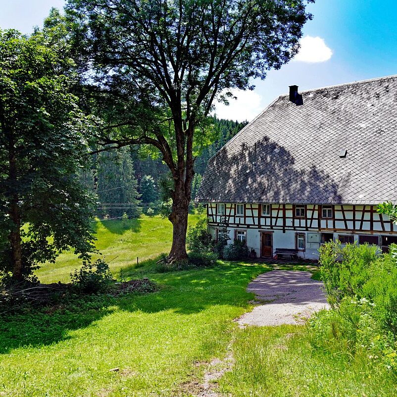 30 Hansenhof