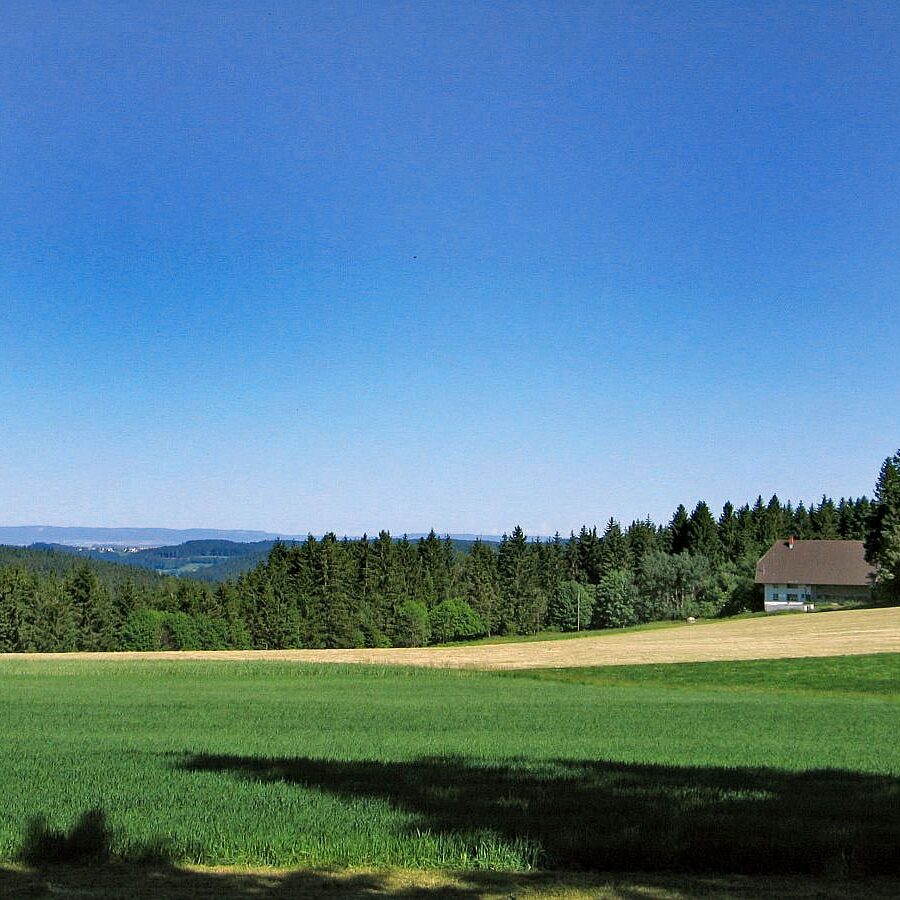 35 Baerenwald