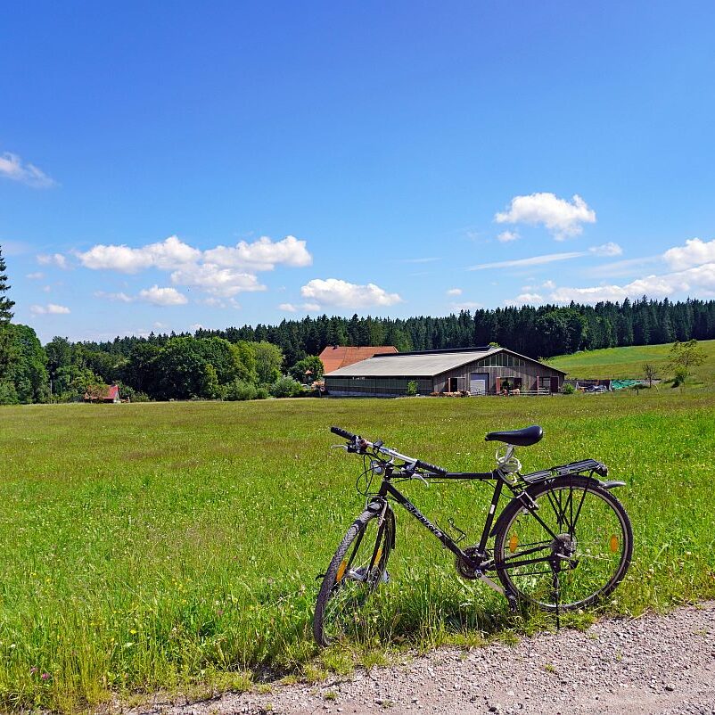 37 Oberer Falken