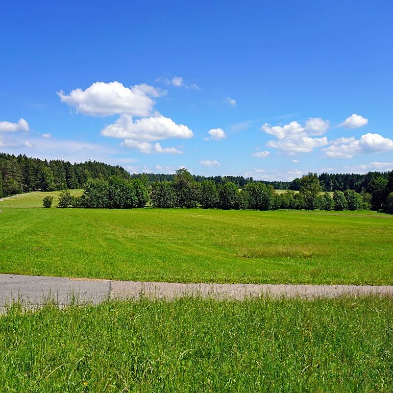 38 Unterer Falken
