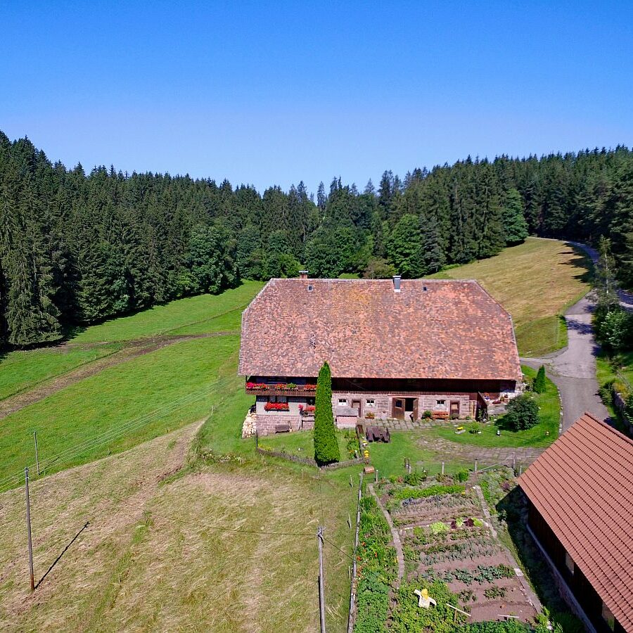 Der Oberbauernhof in Tennenbronn 1