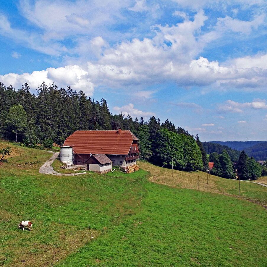Der Oberbauernhof in Tennenbronn 10