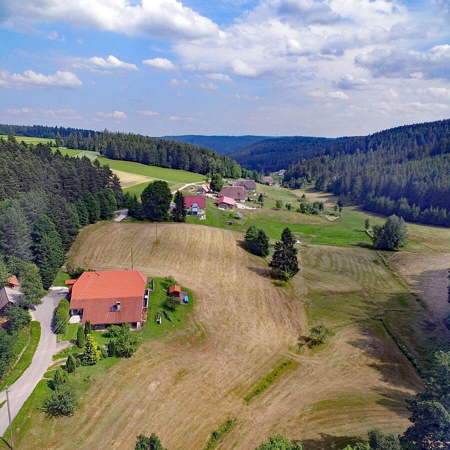 Der Oberbauernhof in Tennenbronn 12