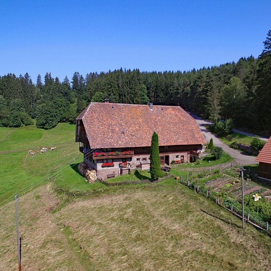 Der Oberbauernhof in Tennenbronn 2
