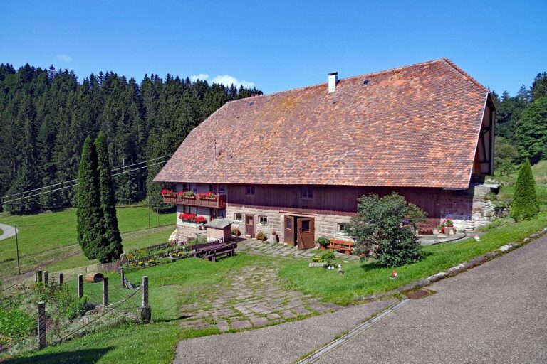 Der Oberbauernhof in Tennenbronn 5