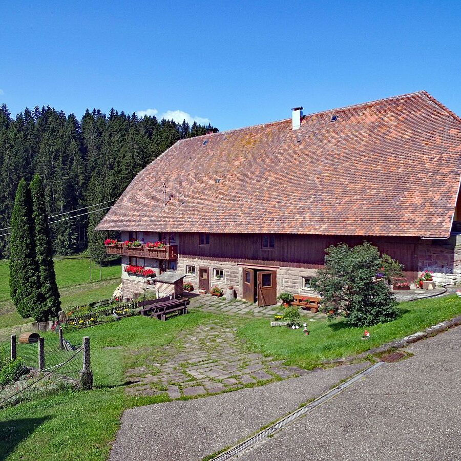 Der Oberbauernhof in Tennenbronn 5