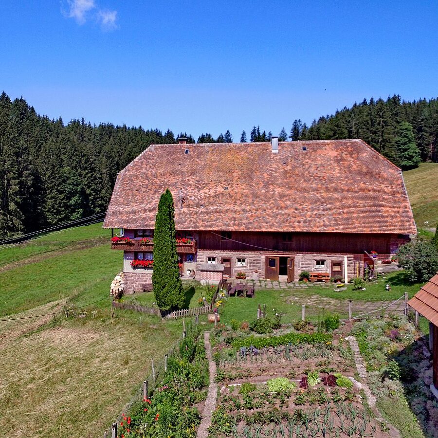 Der Oberbauernhof in Tennenbronn 8
