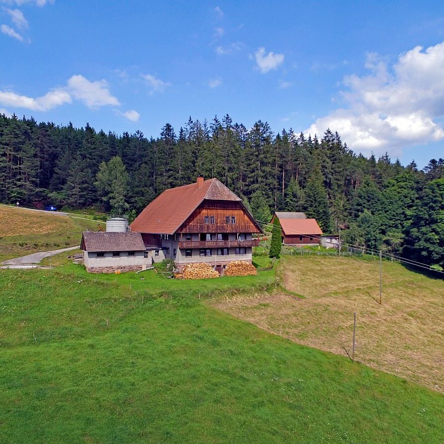 Der Oberbauernhof in Tennenbronn 9