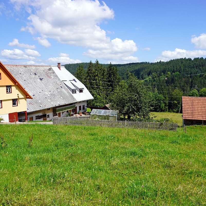 Altenburg Tischneck Bernecktal 1