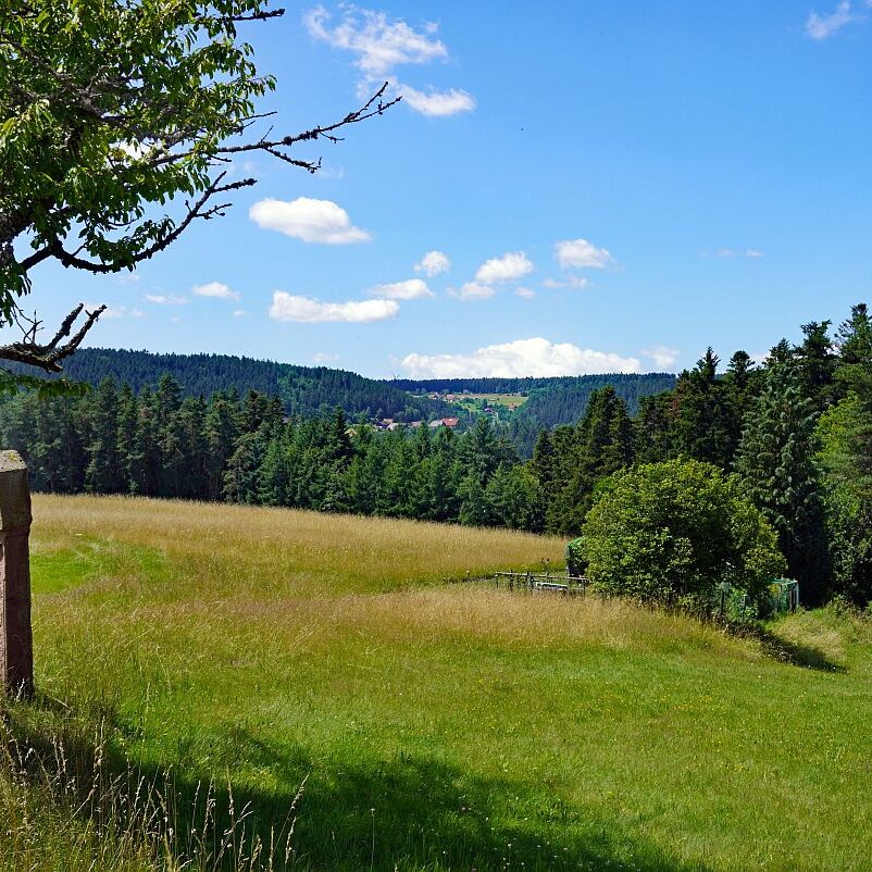 Altenburg Tischneck Bernecktal 10