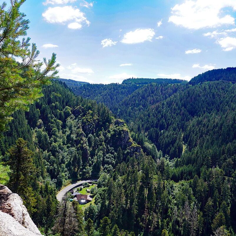 Altenburg Tischneck Bernecktal 11