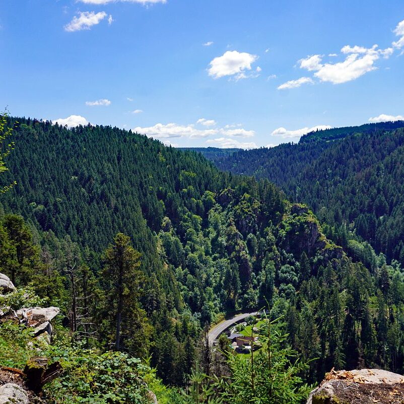 Altenburg Tischneck Bernecktal 12