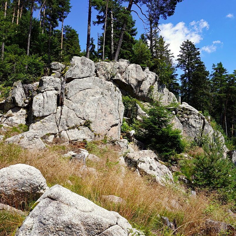Altenburg Tischneck Bernecktal 13