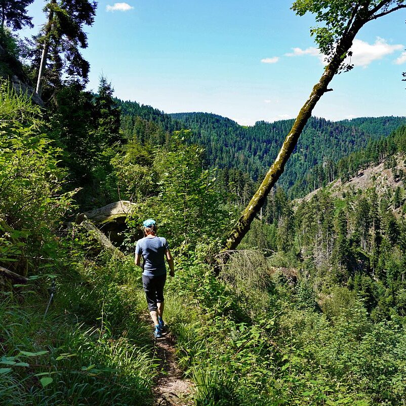 Altenburg Tischneck Bernecktal 14