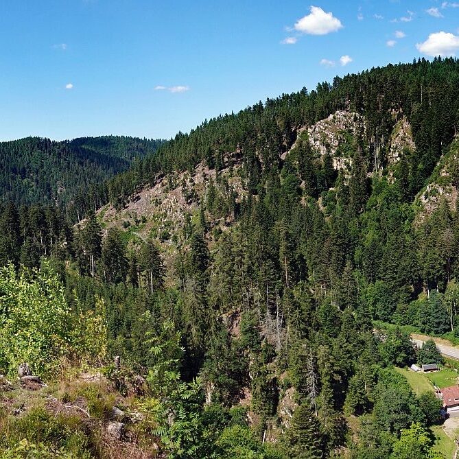 Altenburg Tischneck Bernecktal 16