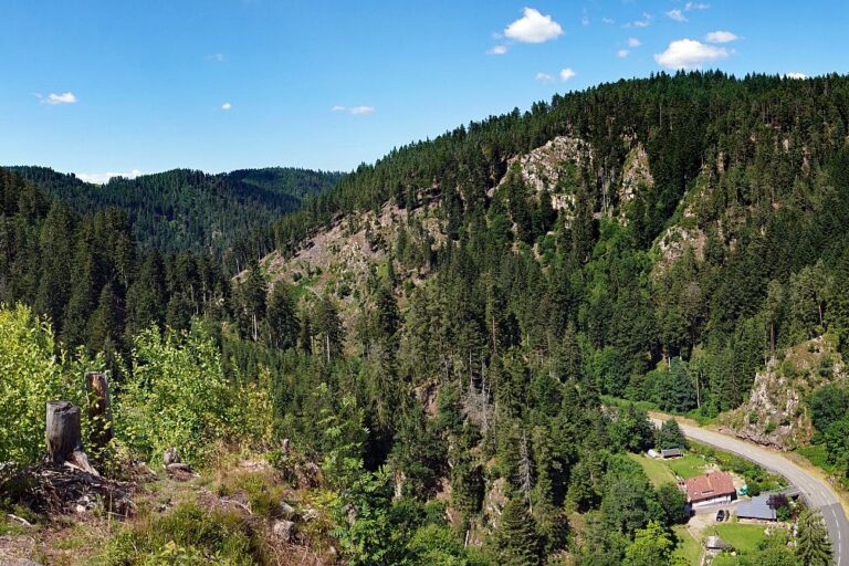 Altenburg Tischneck Bernecktal 16