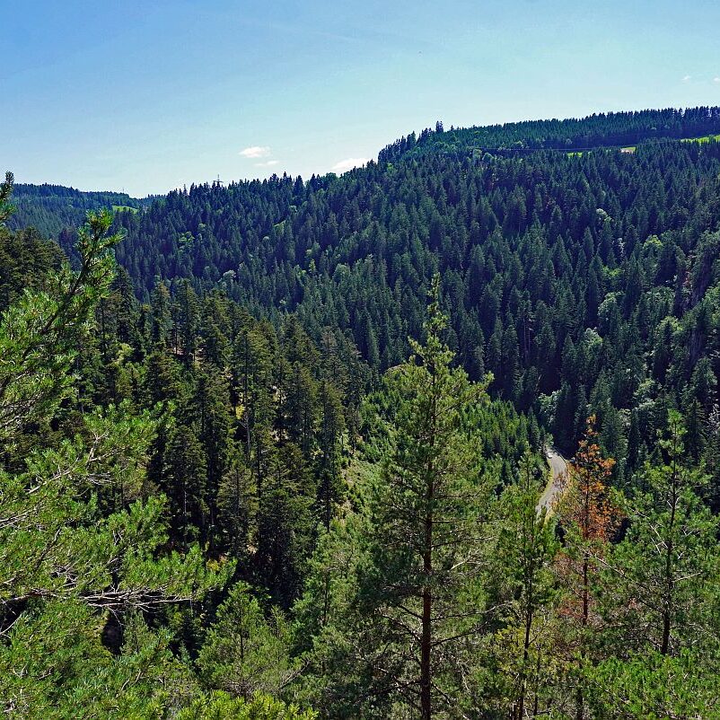 Altenburg Tischneck Bernecktal 17