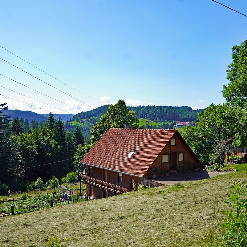 Altenburg Tischneck Bernecktal 18