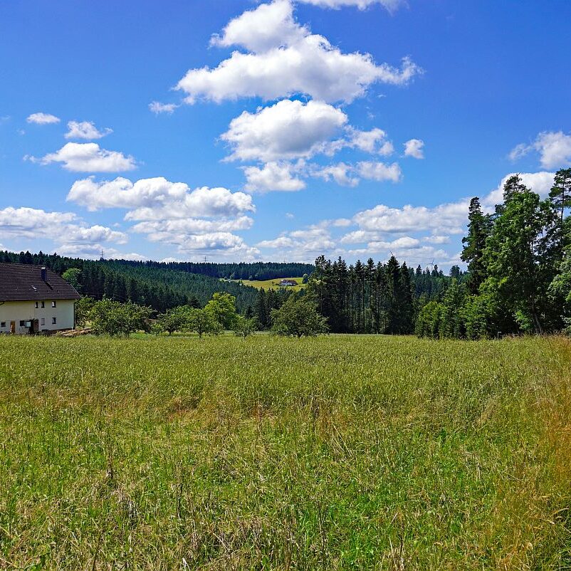 Altenburg Tischneck Bernecktal 3