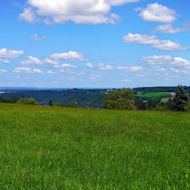 Altenburg Tischneck Bernecktal 4