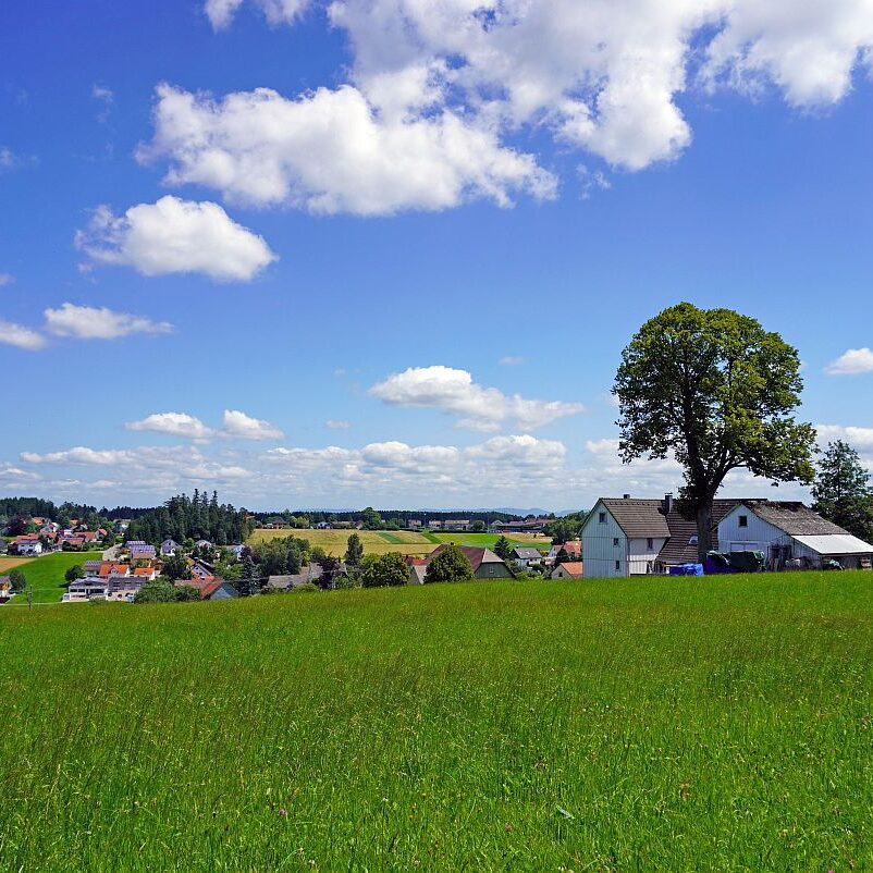 Altenburg Tischneck Bernecktal 5