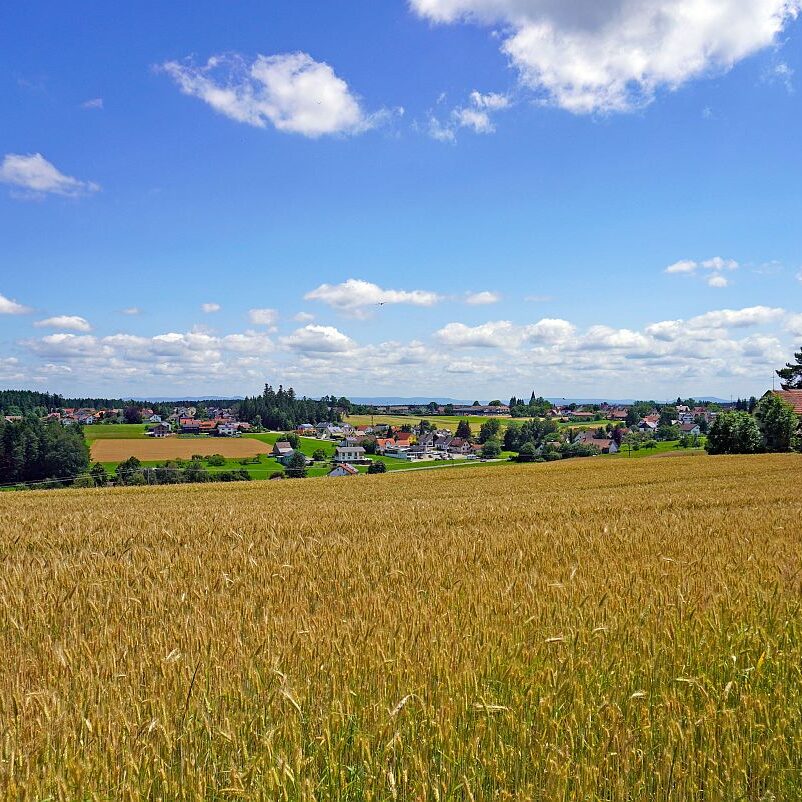 Altenburg Tischneck Bernecktal 6