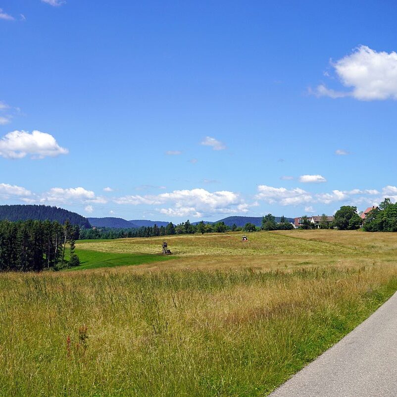 Altenburg Tischneck Bernecktal 8