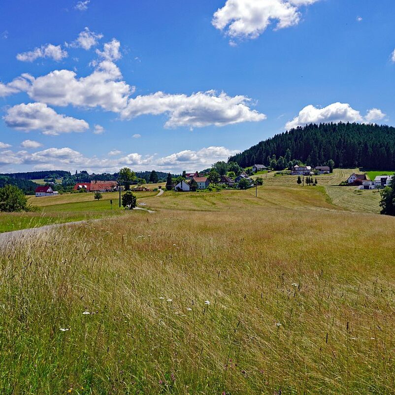 Altenburg Tischneck Bernecktal 9