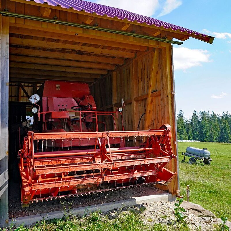 Getreide in Tennenbronn 14