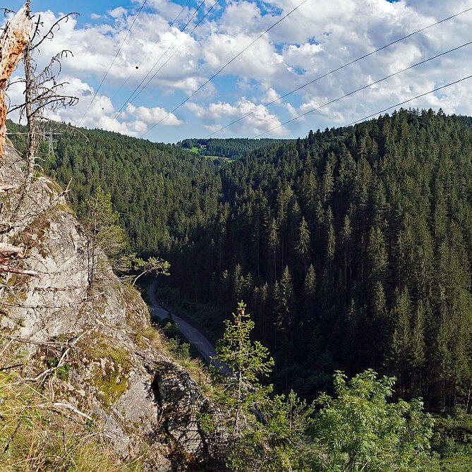 Schloesslefelsen Tennenbronn 10