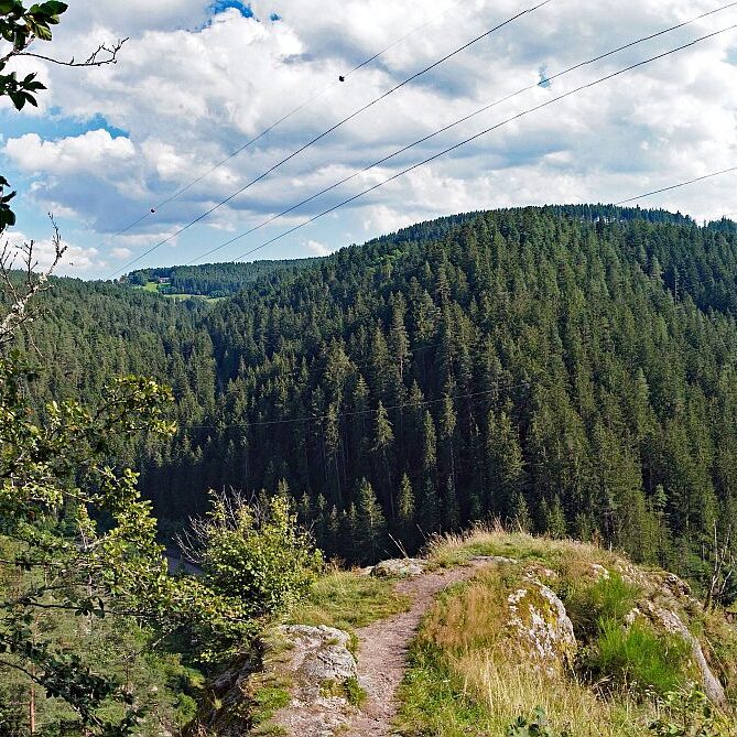 Schloesslefelsen Tennenbronn 2