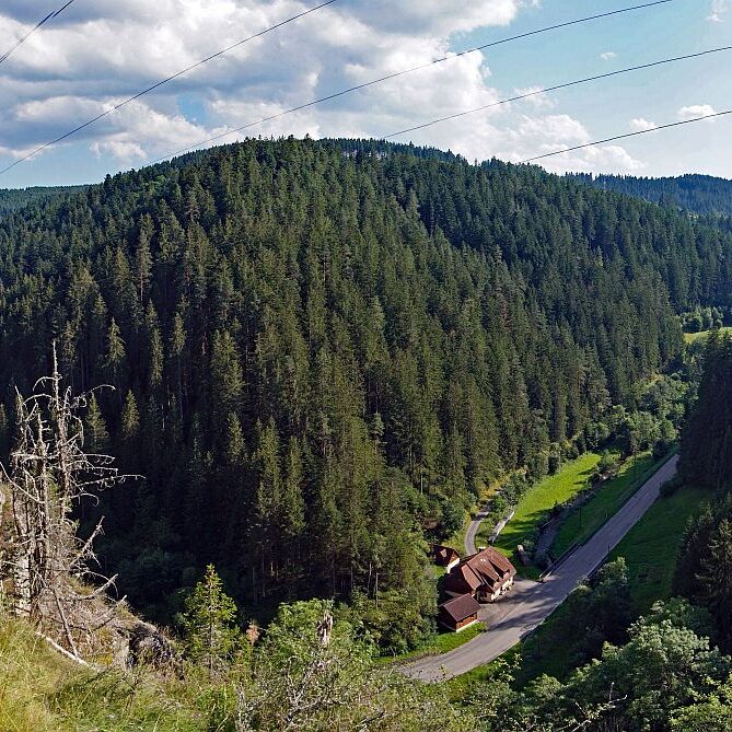 Schloesslefelsen Tennenbronn 3