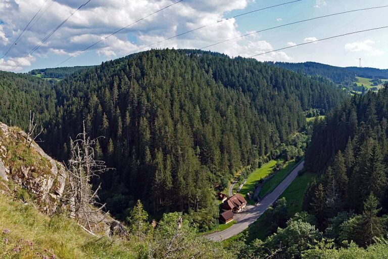 Schloesslefelsen Tennenbronn 3