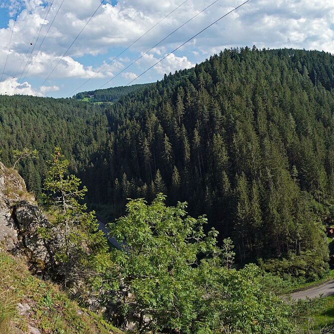 Schloesslefelsen Tennenbronn 8