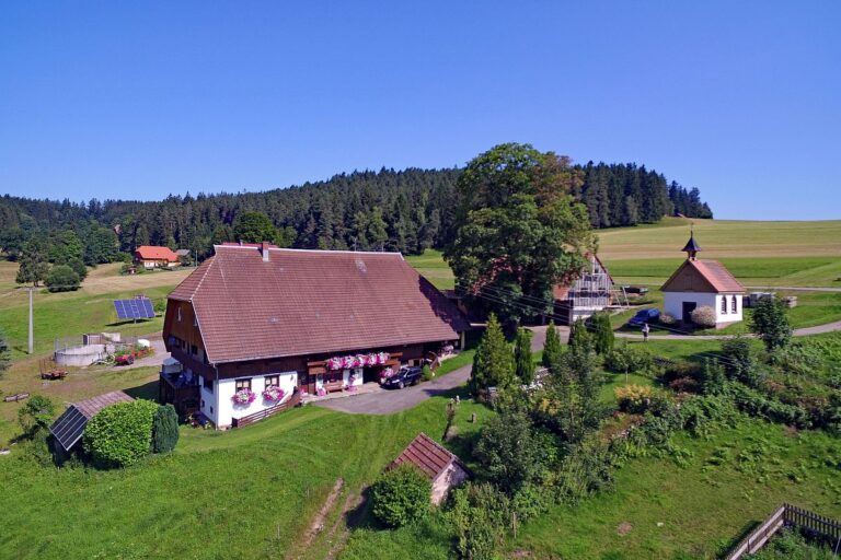 Seppenhof und Sererinenhof 8