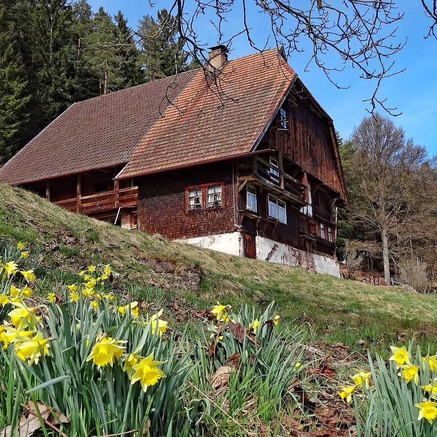 Alter Hof Steidinger am Mittelberg 1