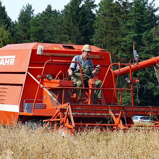 Getreide Ernte Remsbach Gersbach 3