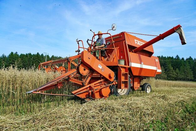 Getreide Ernte Remsbach Gersbach 4