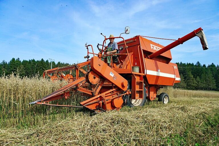 Getreide Ernte Remsbach Gersbach 4