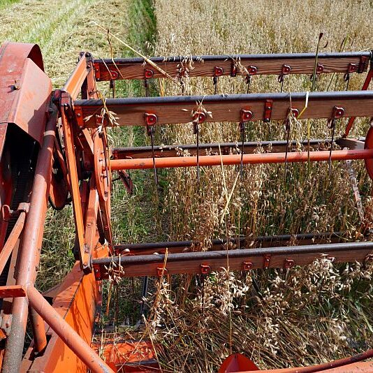 Getreide Ernte Remsbach Gersbach 5