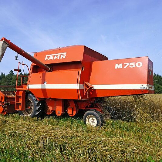 Getreide Ernte Remsbach Gersbach 6