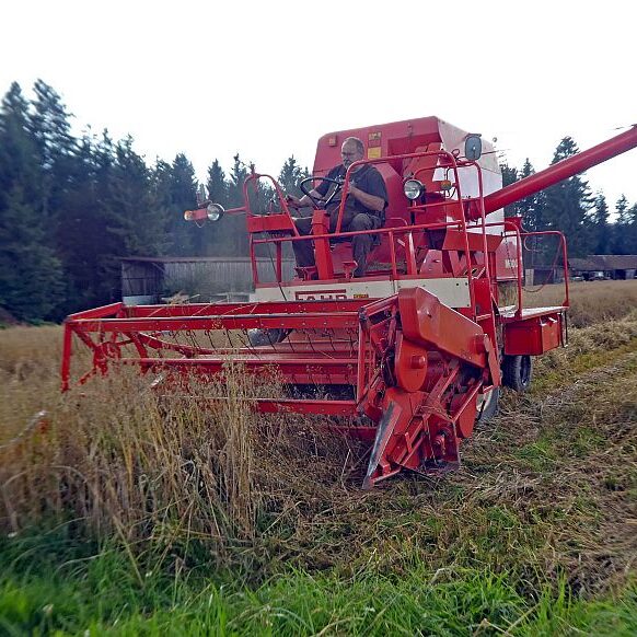 Getreide Ernte Remsbach Gersbach 8