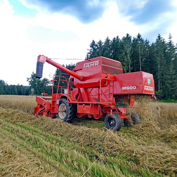 Getreide Ernte Remsbach Gersbach 9