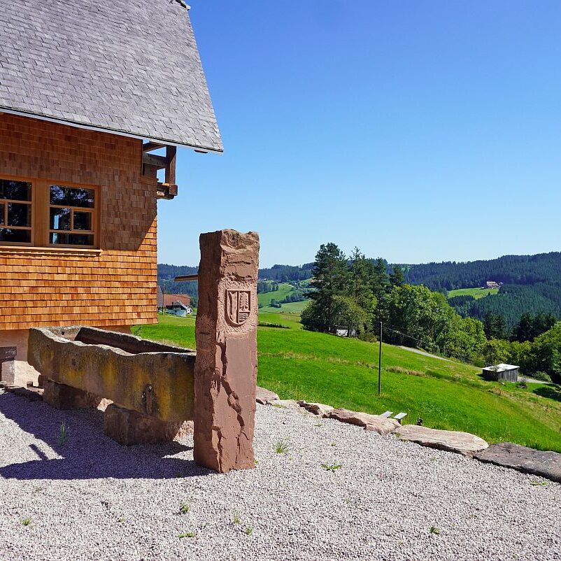 Pethauhof Steidinger am Mittelberg 08