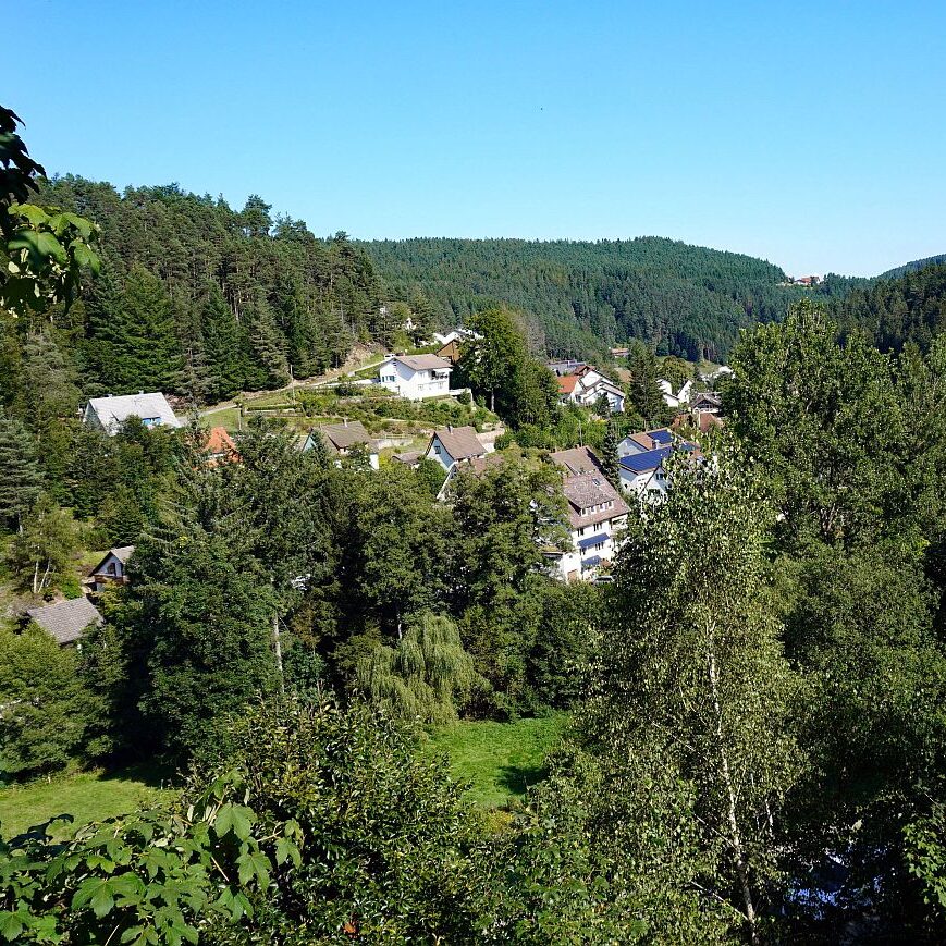 Tennenbronn im Spaetsommer 1