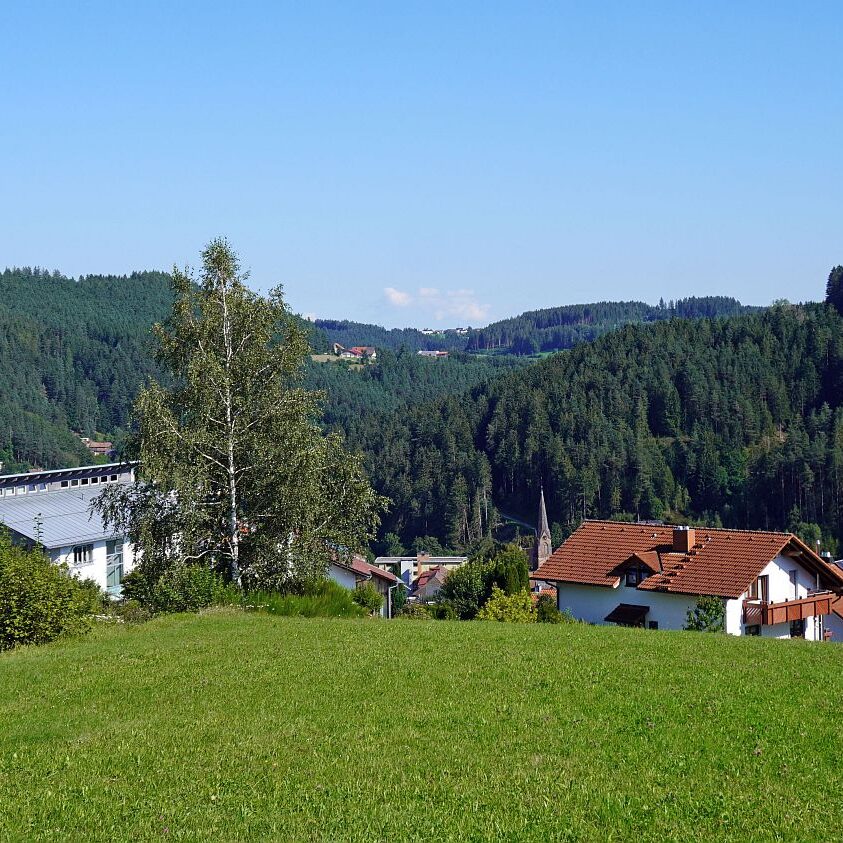 Tennenbronn im Spaetsommer 2