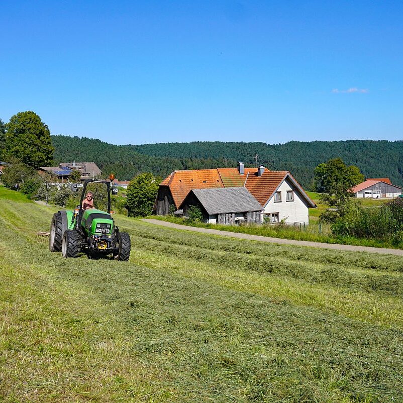 Tennenbronn im Spaetsommer 4