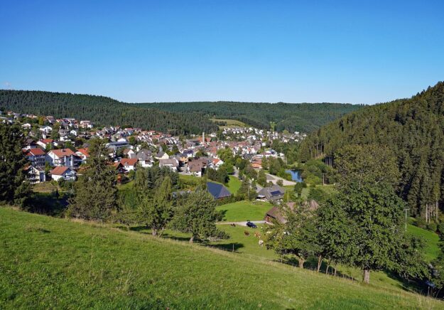 Tennenbronn im Spaetsommer 8 Tennenbronn im Spaetsommer 8