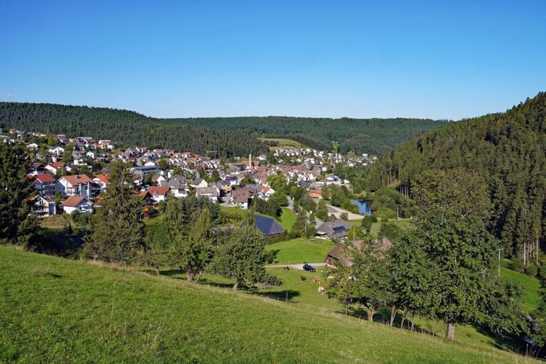 Tennenbronn im Spaetsommer 8